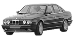 BMW E34 P1481 Fault Code