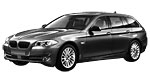 BMW F11 P1481 Fault Code